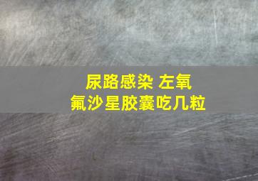 尿路感染 左氧氟沙星胶囊吃几粒